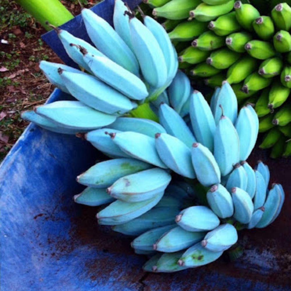 Meet your Posher, Larkin